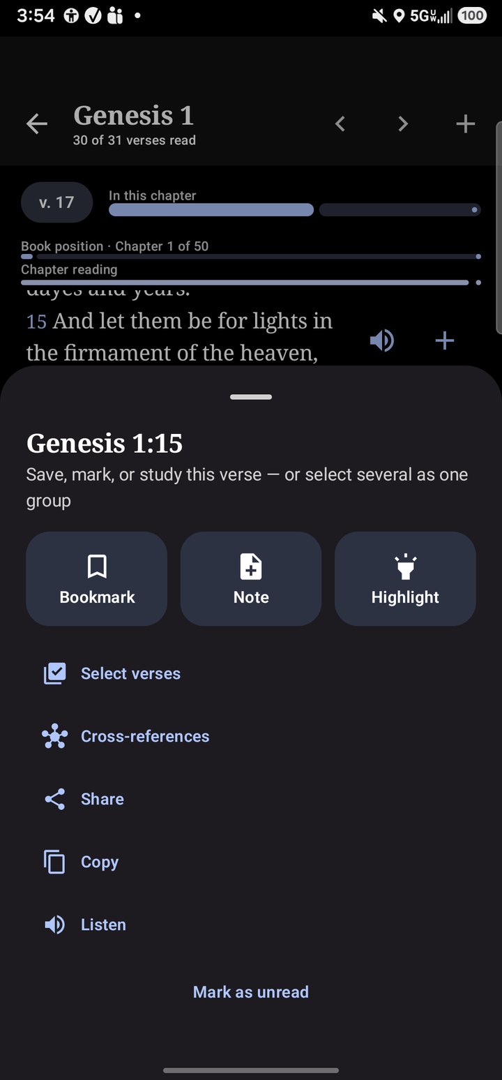 Word-level highlights in the reader